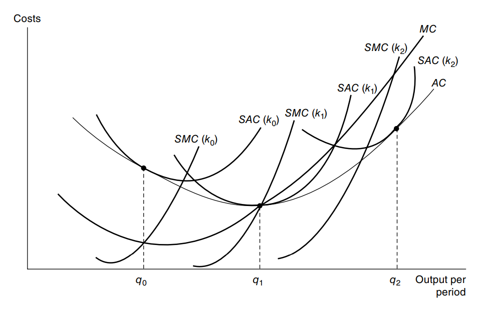 A Geometric Unification of Economics, Crime, and Systemic Autoimmunity