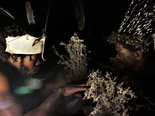 The Hidden History And Healing Power Behind Traditional African Medicine