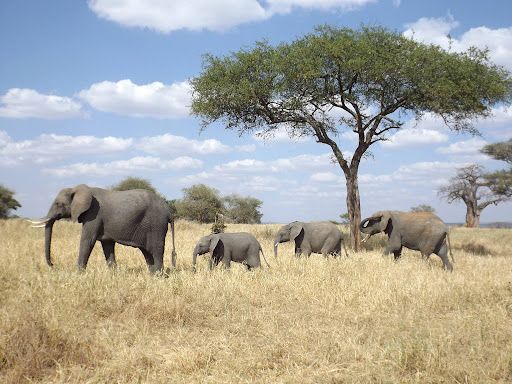 Lean On These Words For Comfort Of God And The Ancestors Presence