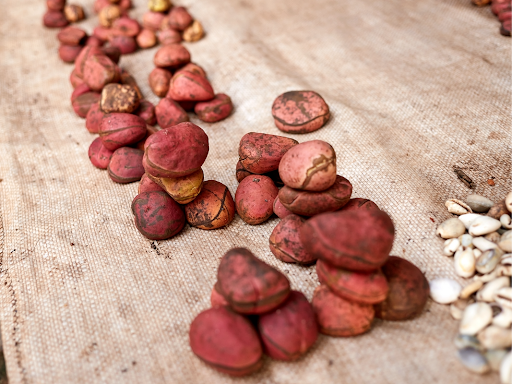 The Special Role Kola Nuts Play In Our Spirituality