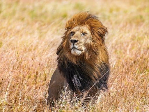 He Reminds Us Black Liberation Is Possible When We're Devoted To Spirit