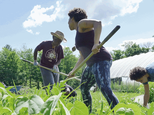 Why Soil Work Is Black Soul Work