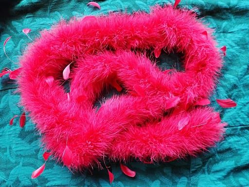 Go Where God Tells You To Be