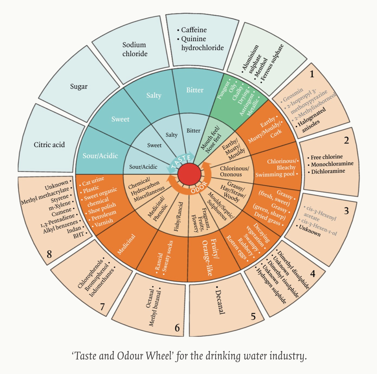 'Taste and Odour Wheel' for the drinking water industry