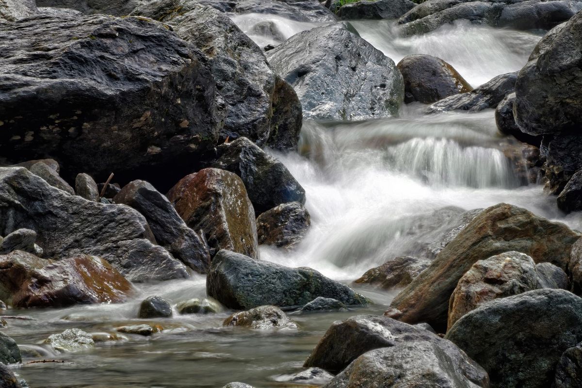 La logorrhée, chapitre huitième : La rivière ardente.