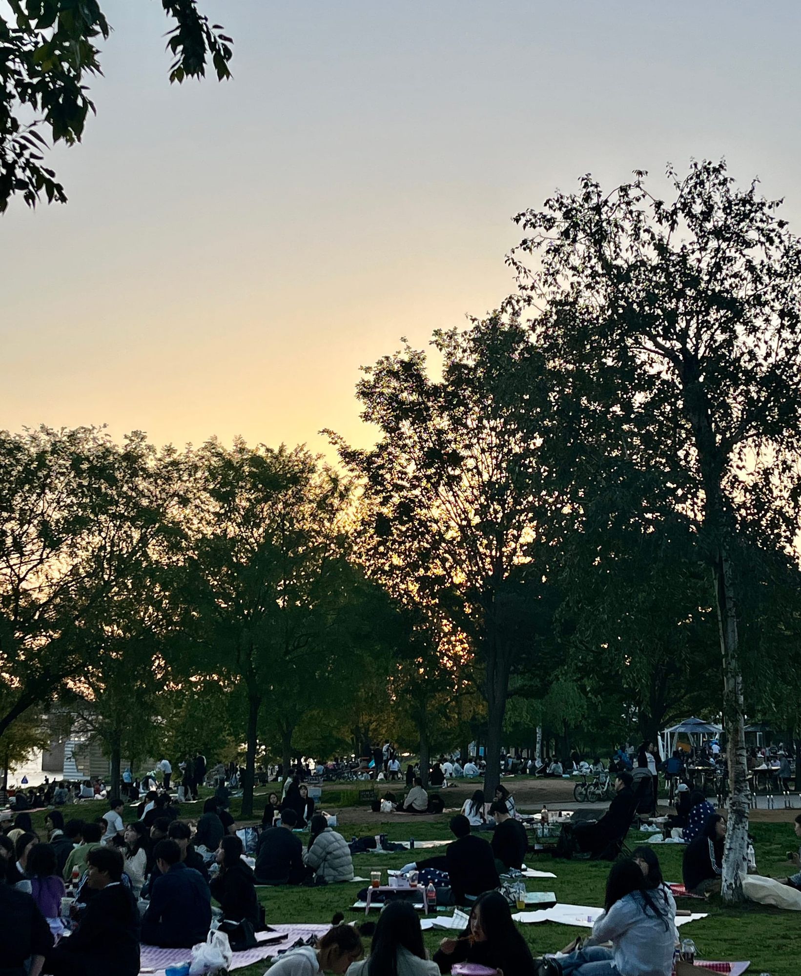 회고하는 5월, 계획하는 6월