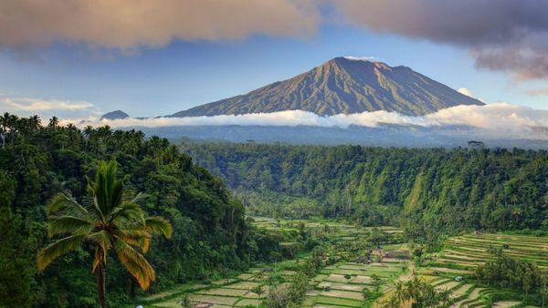 The Most Promising and Developing Areas in Bali: A Location Overview
