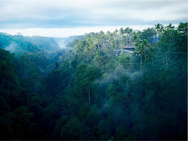 Whispers Between Worlds: The Divine Sanctuary of HOSHINOYA Bali