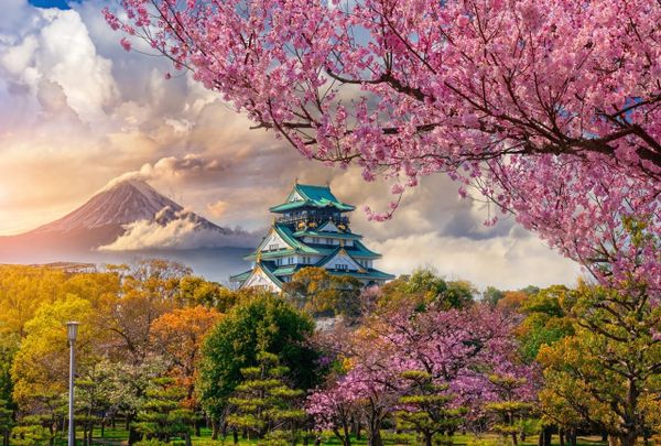 A Captivating Voyage: Exploring the Wonders from Osaka to Tokyo