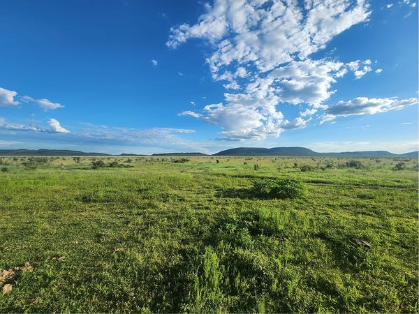 Safari meets slow living