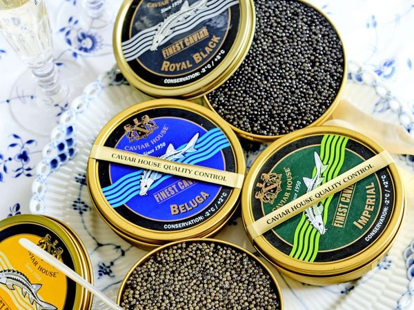 Where to Eat Caviar in London: A Culinary Survey