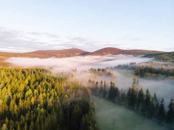 The World’s Best Wellness Experiences to Recharge in 2026