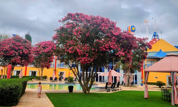 What happened when I stopped treating Johannesburg like a layover