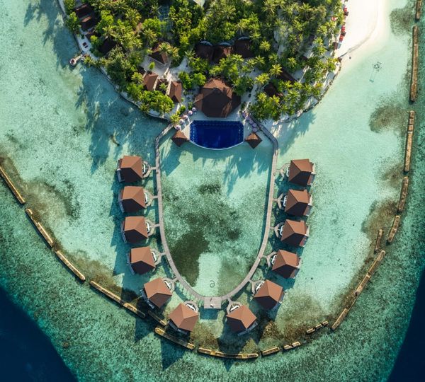Twenty Metres from Shore: Inside Ellaidhoo Maldives by Cinnamon
