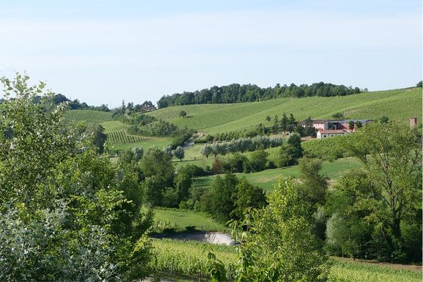 Locanda La Raia: Where Italian Hospitality Begins with the Land