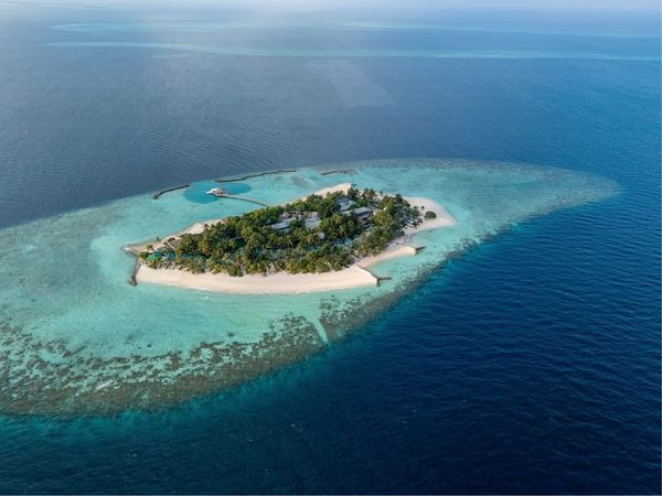 The Reef You Return To: A Week on Eri Maldives