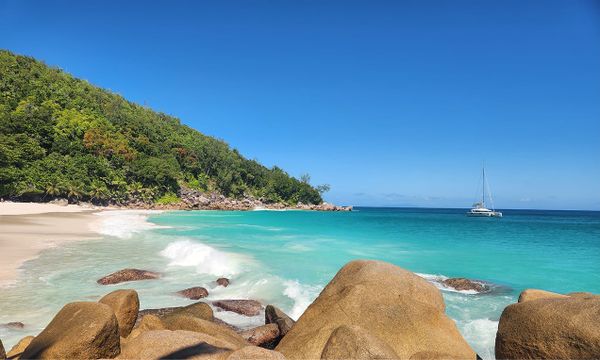Finding luxury in the Seychelles and how some giant tortoises taught me to slow down