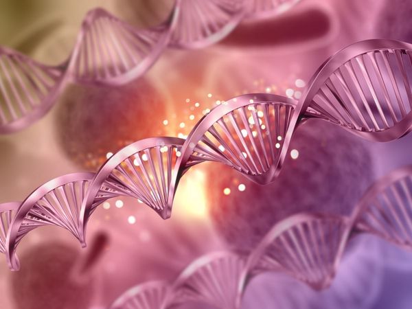 Your Body Doesn't Have One Biological Age