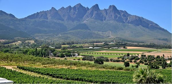 Characterful bases for exploring the Cape Winelands