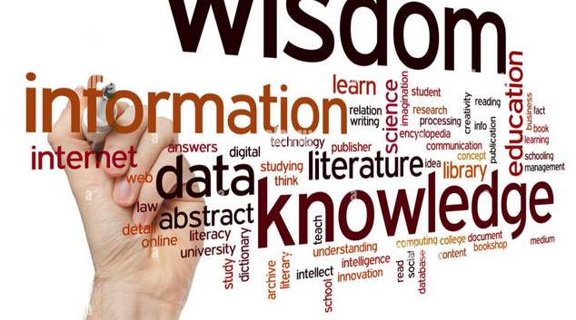 From Information to Knowledge to Wisdom - The Maturity Journey
