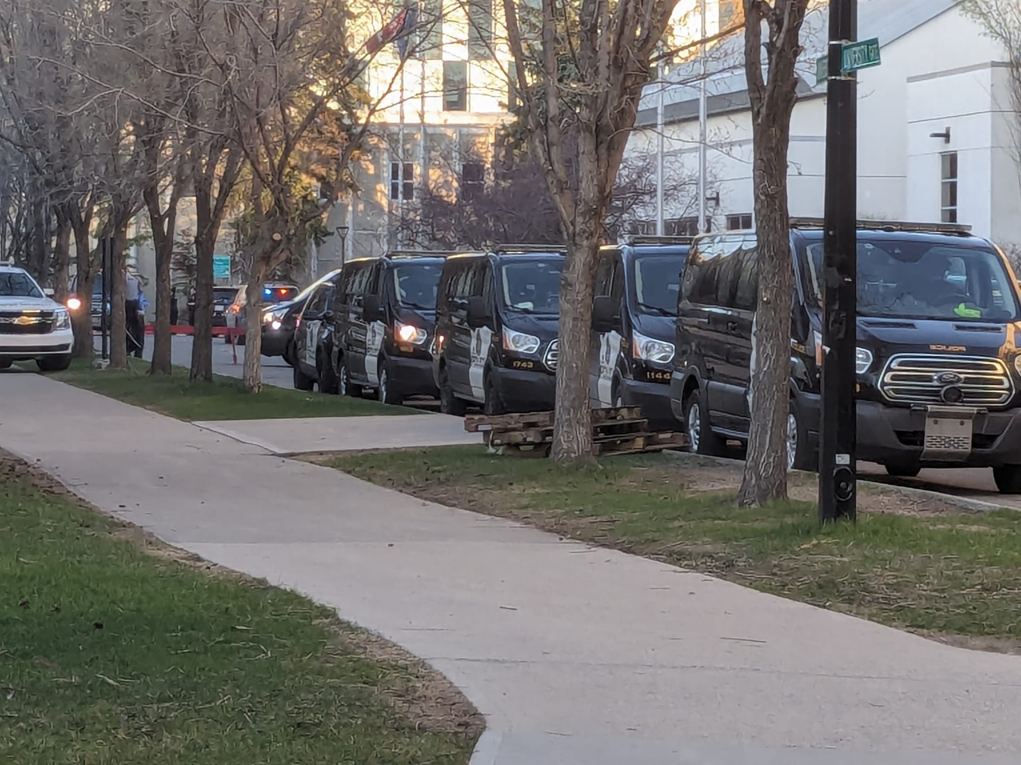 Line of seven to ten police vehicles parked along a tree-lined street