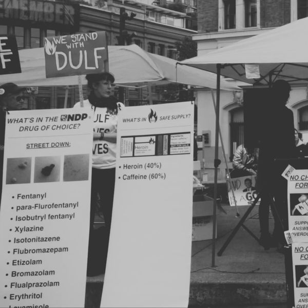 FOR IMMEDIATE RELEASE: “FREE DULF. NO MORE DYING. NO MORE DRUG WAR 2024.”