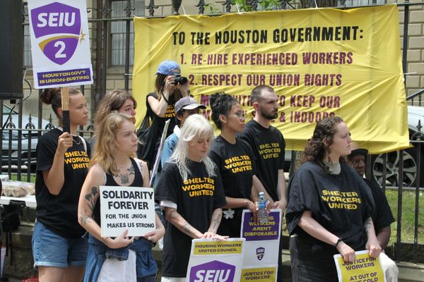 People holding signs and wearing black and yellow t-shirts supporting the SEIU union and shelter workers' rights.