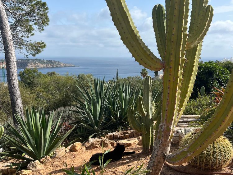 The art of balance on an island that never sleeps