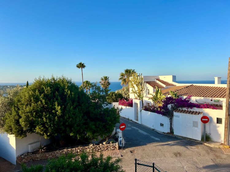 The mind moved faster than the heart