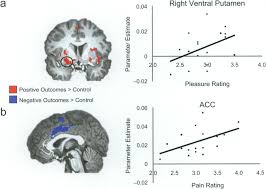 How to stop comparing yourself to others