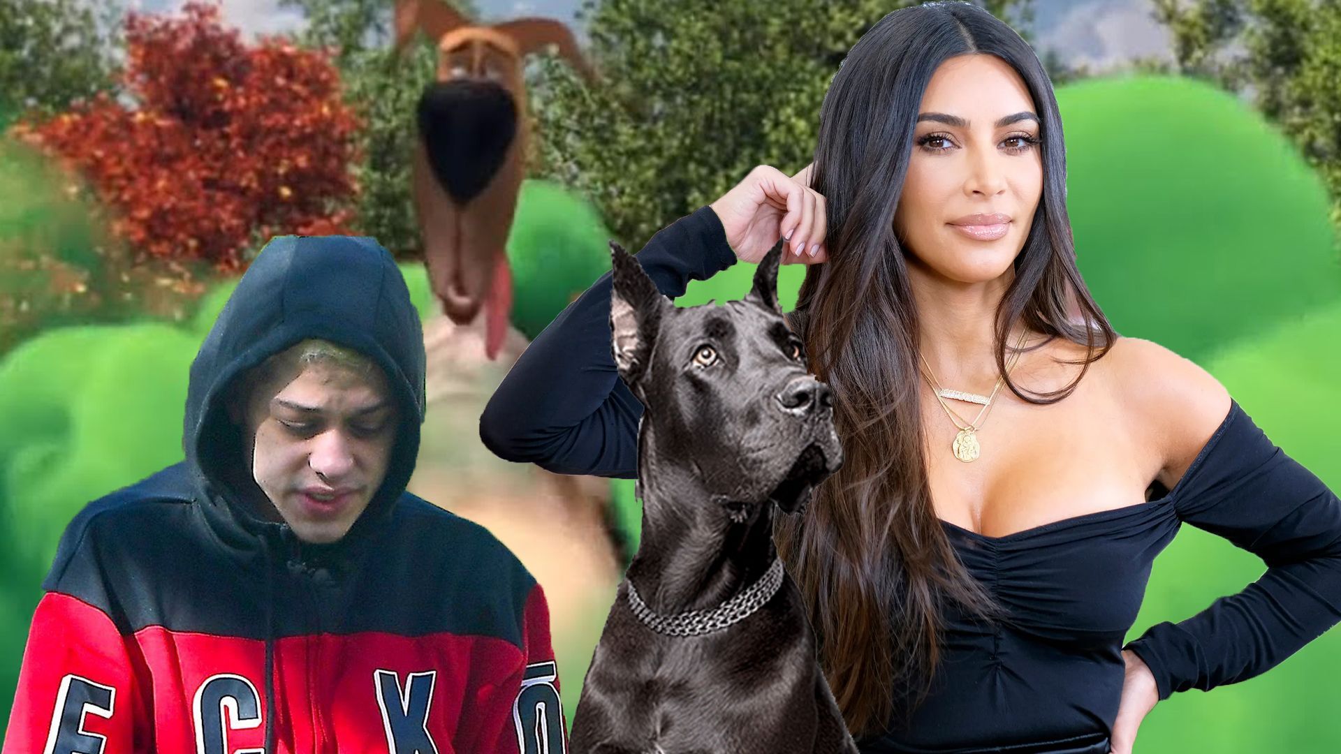 Pete Davidson Of Academy Award Winning Film "Marmaduke" Shocked As Kim K Leaves Him For Actual Great Dane