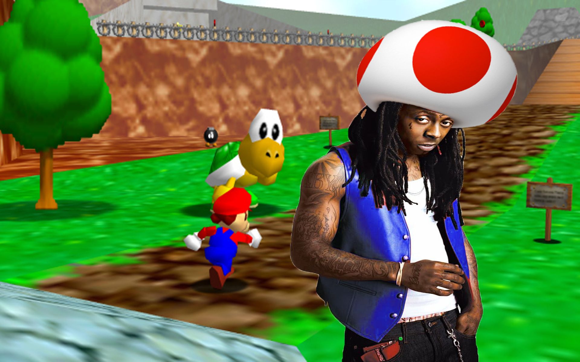 Lil Wayne To Play Toad In Upcoming Super Mario 64 HD Remake