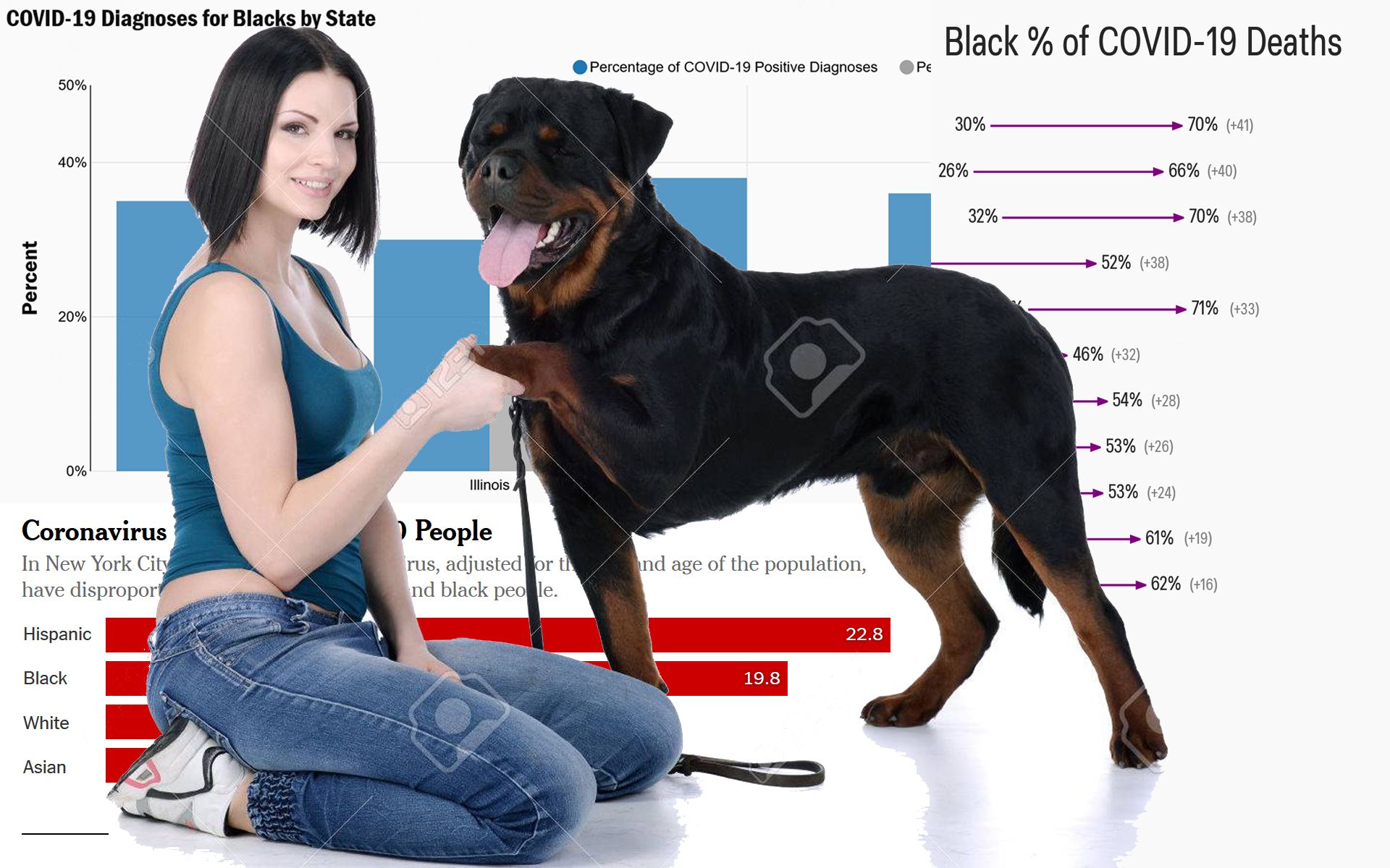 New Study Finds Fucking Your Dog Prevents COVID-19