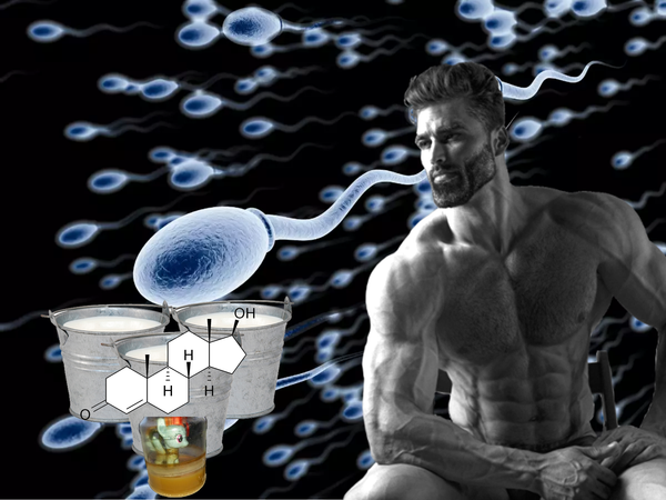 Study Finds Eating Cum Boosts Testosterone