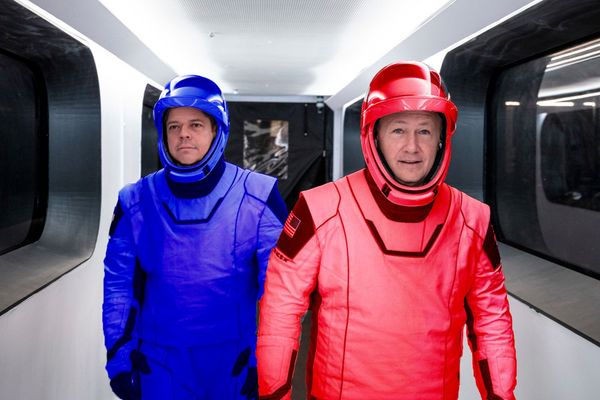 Elon Musk Invents Brain Chip To Play Among Us In Real Life