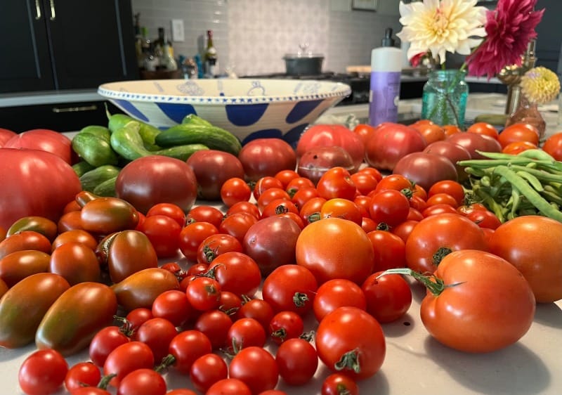 Picture of vegetables from the garden on a kitchen counter
