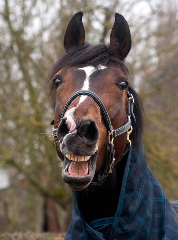 Greg Chambers talking, apparently. At least the AI Voice bot thinks so. 