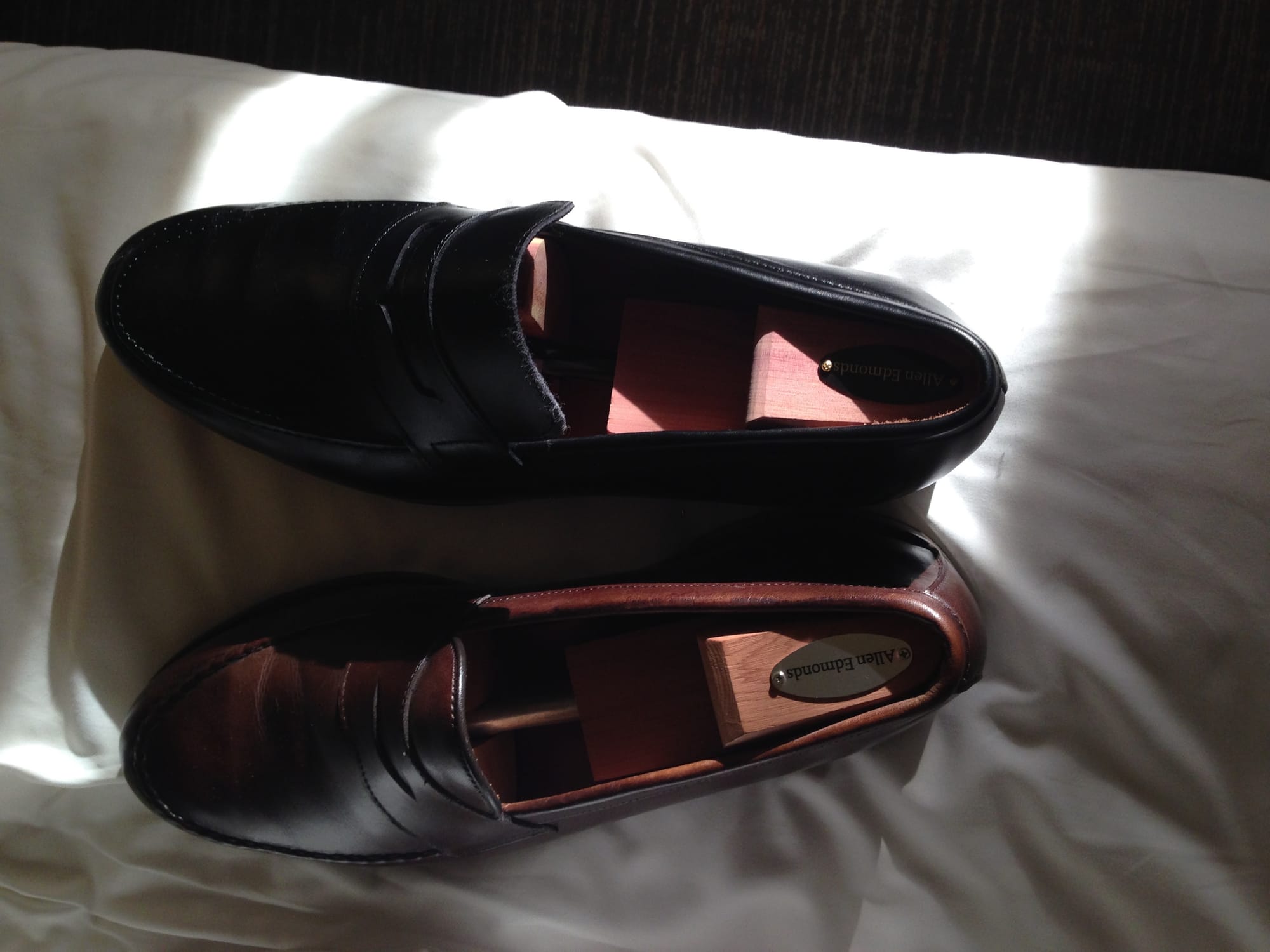 greg takes a picture of a brown shoe and a black shoe he brought on a trip, both left feet