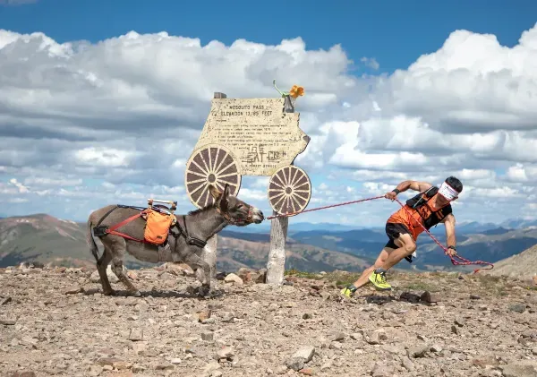 Image from Hugh Carey via the Colorado Sun