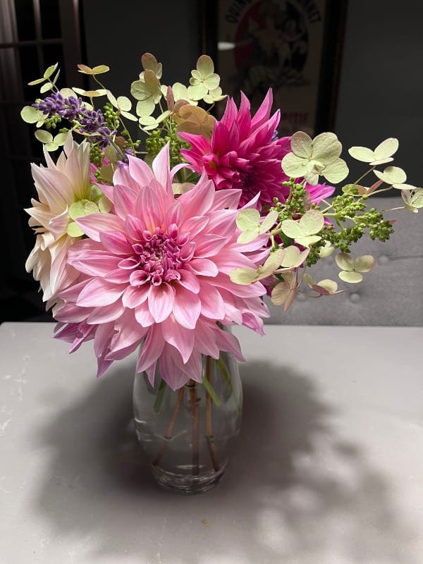 Laura's dahlia arrangement for a friend