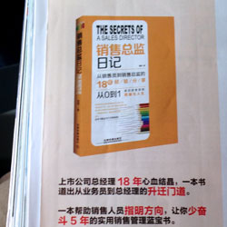 Secrets-of-a-Sales-Director