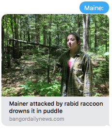 Mainer