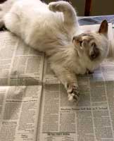 Second-Opinion-Baby-B-Is-Cute