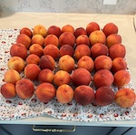 perfect peaches