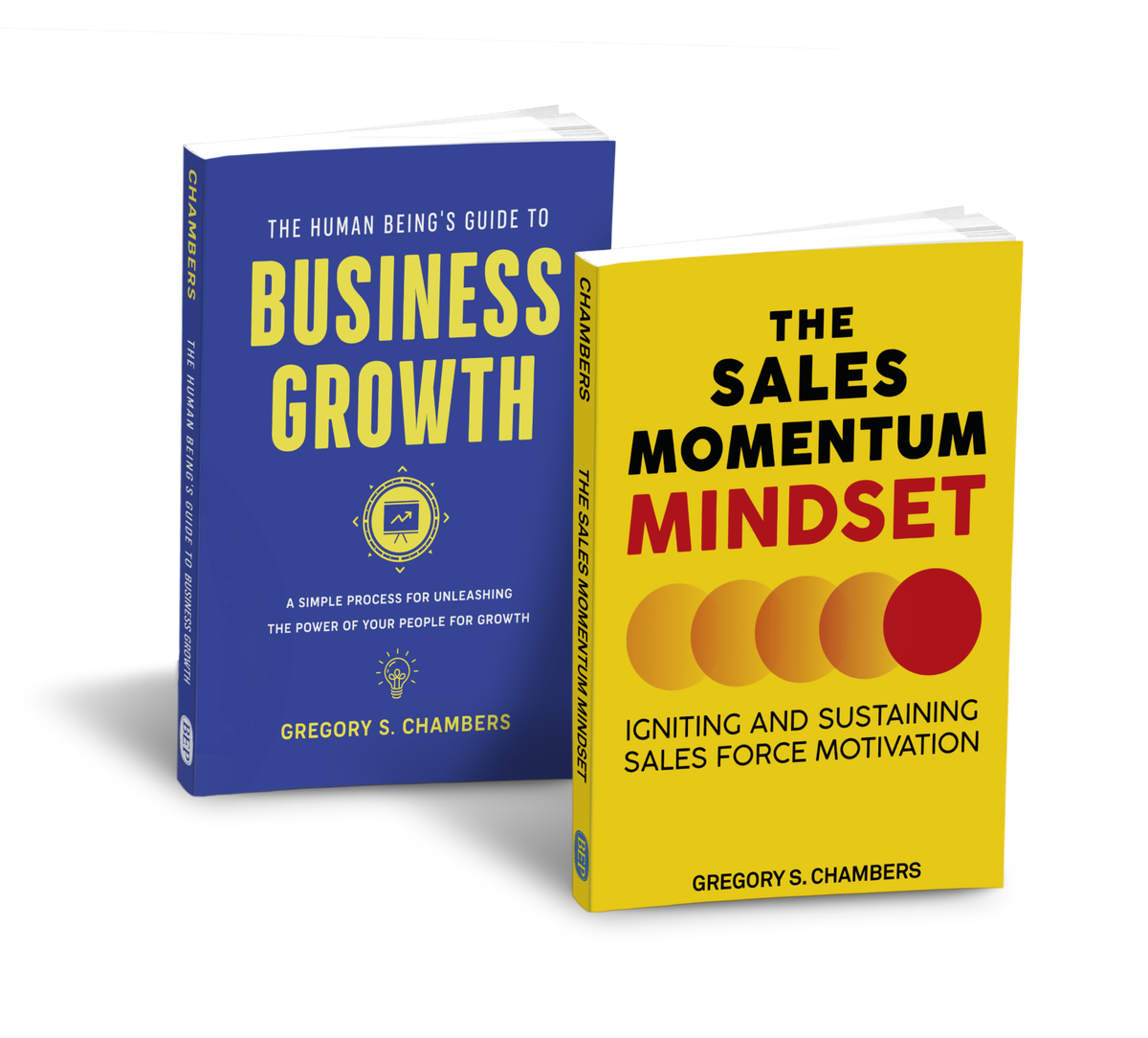 My Books About Sales and Business Growth Post feature image