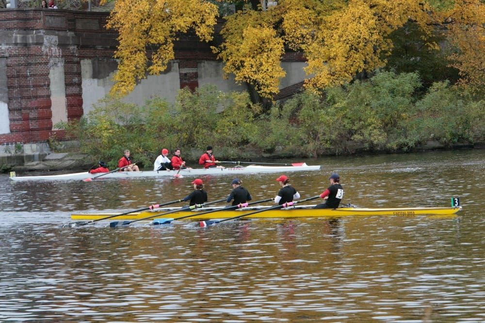 Sales Marketing Newsletter #215 – This week: Feedback loops, Mentor-Coach-Teacher, WaterRower Post image
