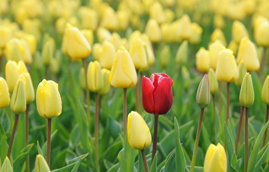 Greg's Right Fit Newsletter #12–This week: Happiness, Aging, Photos Post image