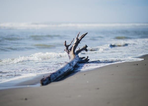Business Growth Ideas #288 This week: Narrating, De-risking, Driftwooding Post image