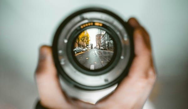 Greg's Right Fit Newsletter #42–This week: Teachers, Focus, Vines Post image
