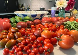 A picture of a bunch of tomatoes on a counter
